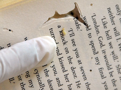 Damaged Book